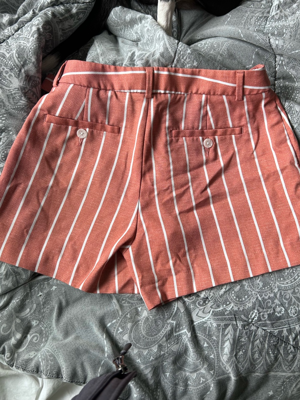 Banana Republic Rust-Striped High Waist Paperbag Shorts - Picture 3 of 4
